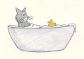 Katzen-Verzeichnis